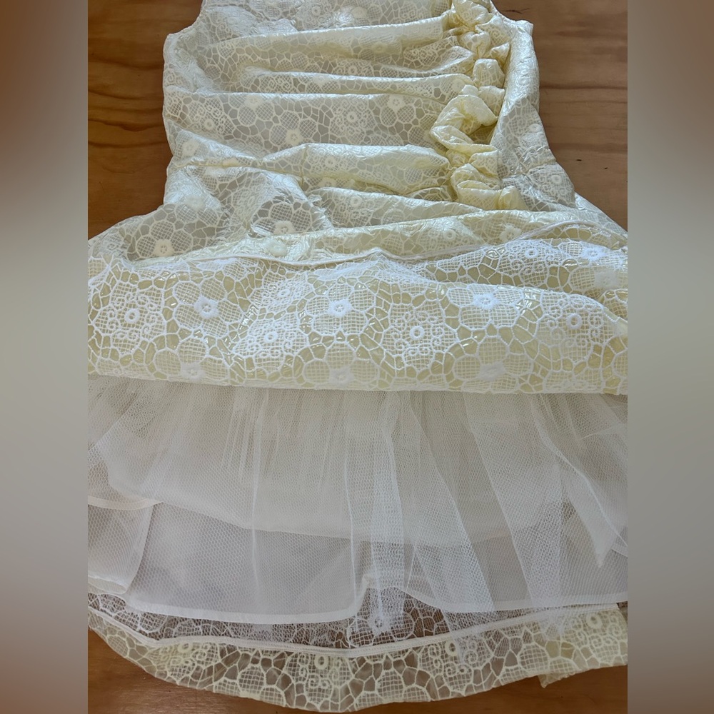Simone Rocha Lace Floral Ruffle Dress - Picture 5 of 7